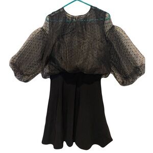 Zara Sheer Black Polka Dot Puff Sleeve Dress Swiss Dot